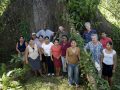 Belize-Jungle-Lodge-Cotton-Tree-Lodge-Staff-Original