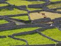 ireland-2701516_1920