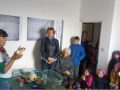 marine creature workshop
